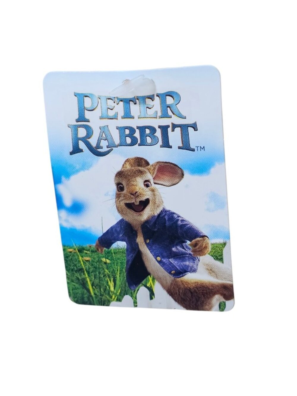 Pair Of 2 Dan Dee Collectors Choice Peter Rabbit Plush Easter Basket Hugger 2026 - Picture 7 of 8